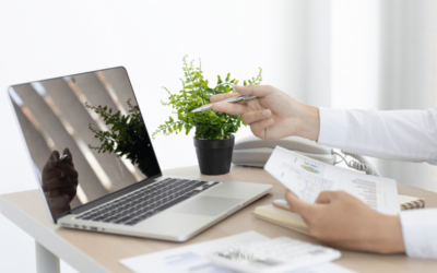 Ingénieur commercial solutions informatiques