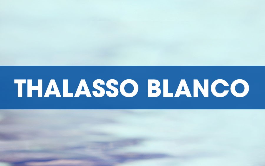 thalasso-blanco-infogerance-pays-basque